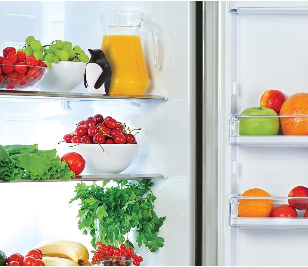 Refrigerator Deodorizer with B - Kitchen Gadgets Holder ulasan dan harga