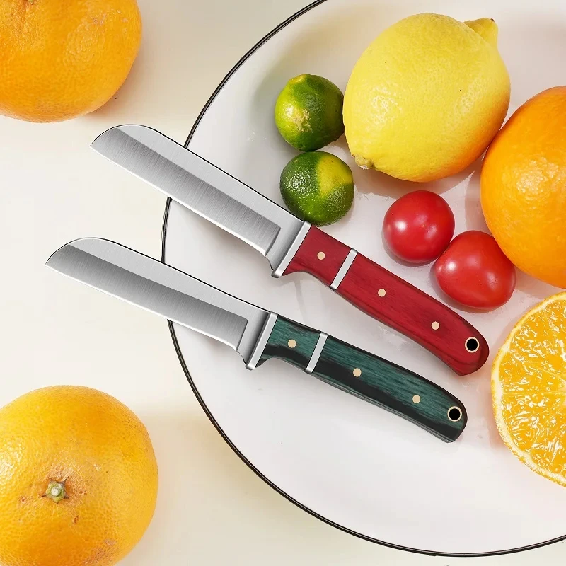 Stainless steel Fruit peeler S - Kitchen Gadgets Design ulasan dan harga