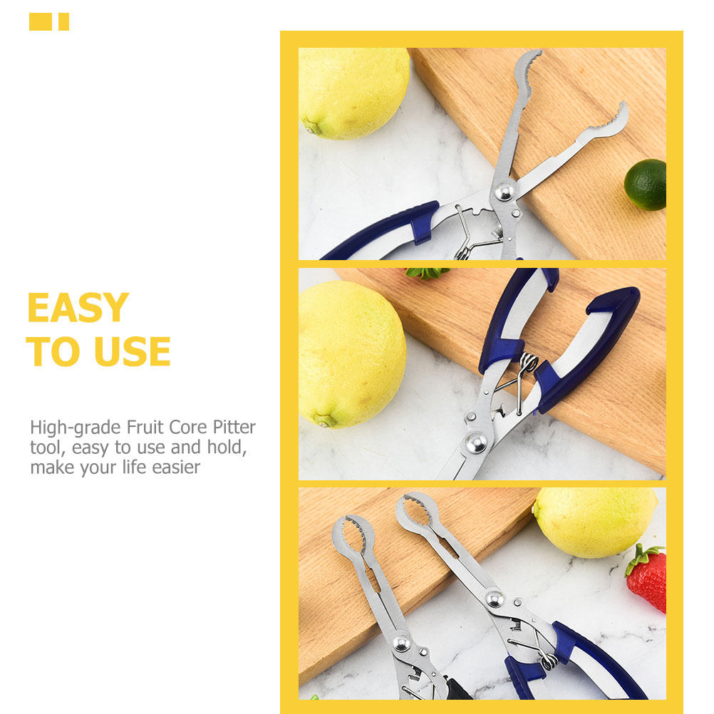 Hawthorn Core Remover Tool Por - Kitchen Gadgets Tools ulasan dan harga