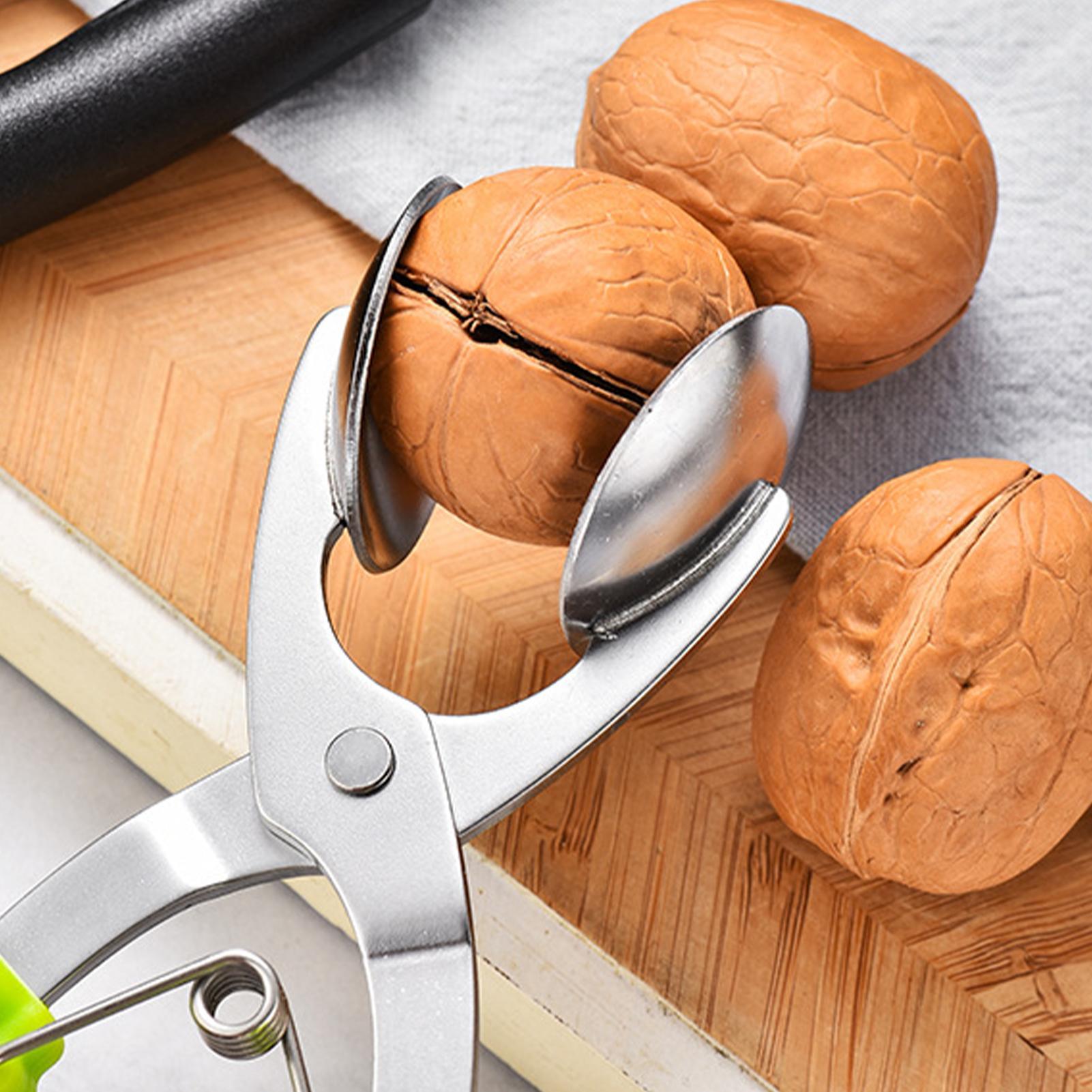Stainless Chestnut Machine Kit - Kitchen Gadgets Everyone Needs ulasan dan harga