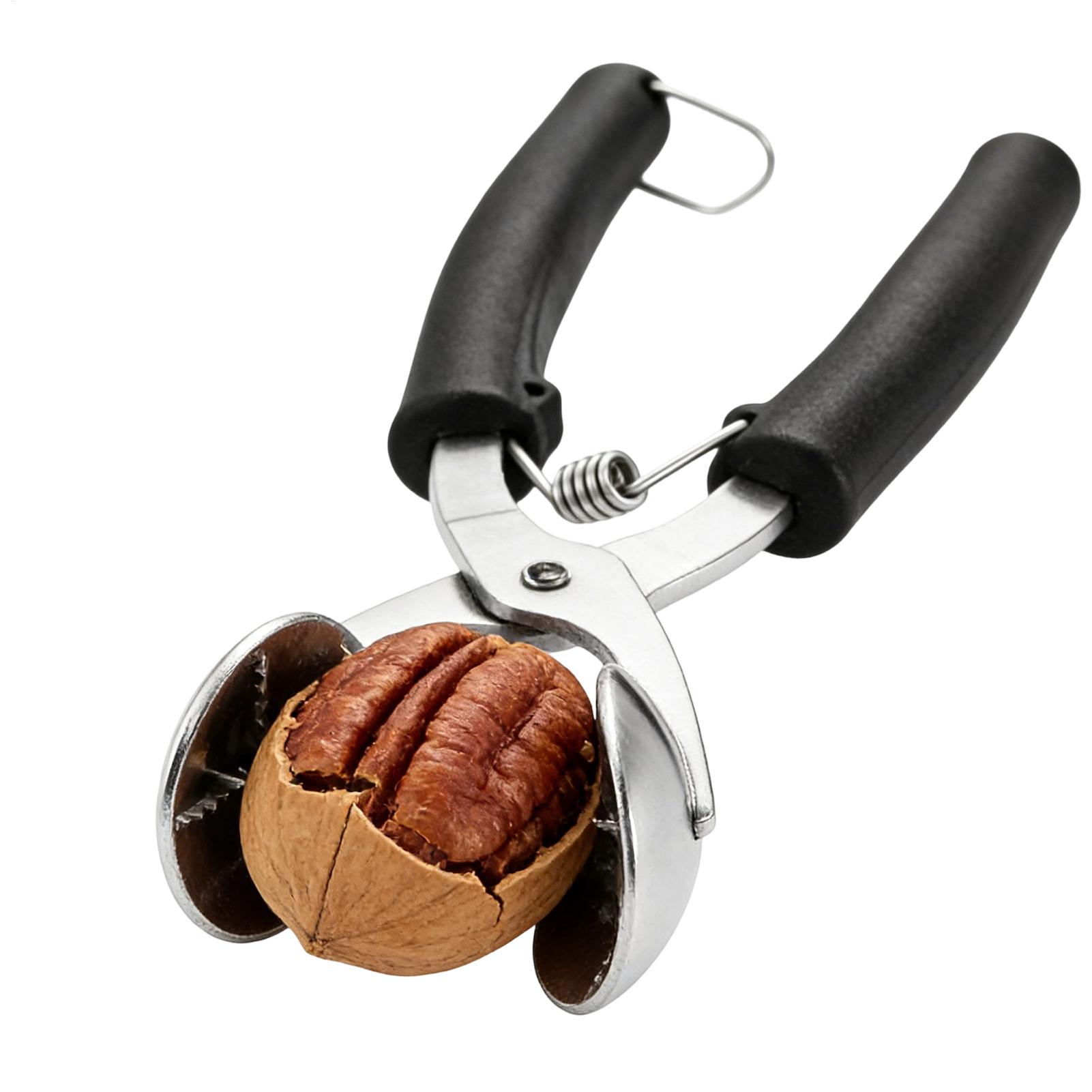 Stainless Chestnut Machine Kit - Kitchen Gadgets Everyone Needs ulasan dan harga